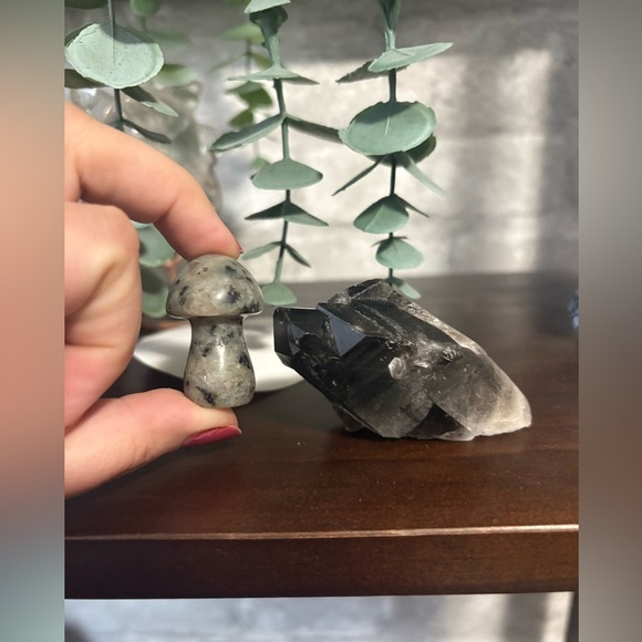 Smoky quartz point with root and lavakite Mushroom set  for the crystal lovers - Picture 2 of 3